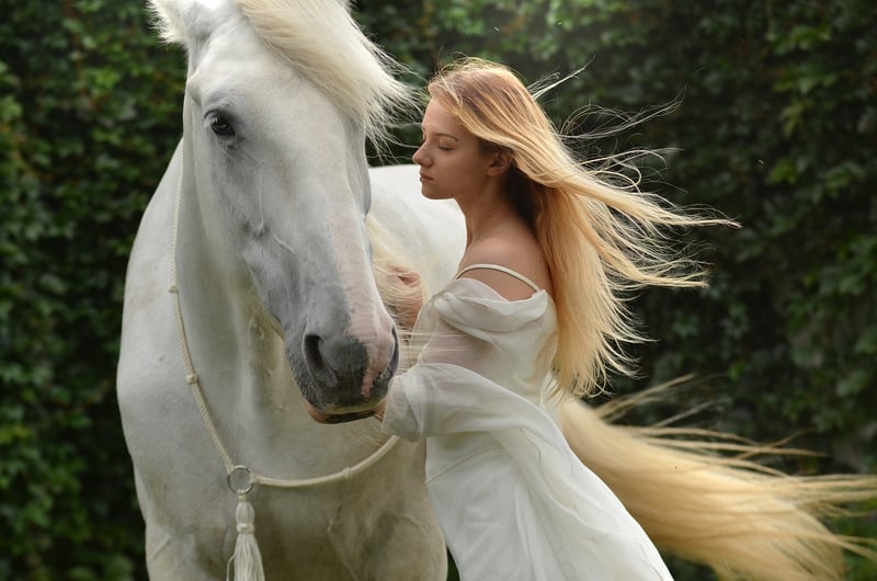 Magical Portraits