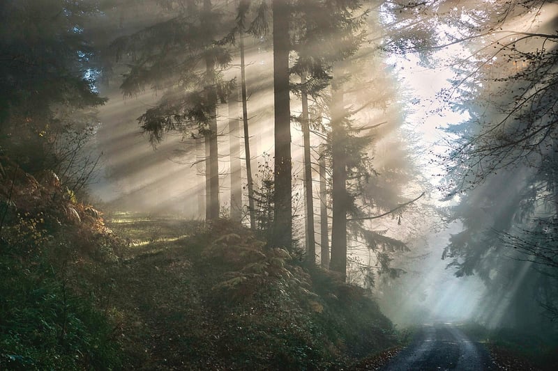 Mystical Ambiance